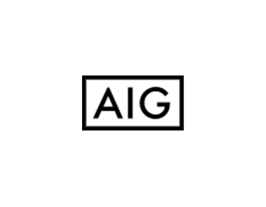 Sponsor Logo for AIG