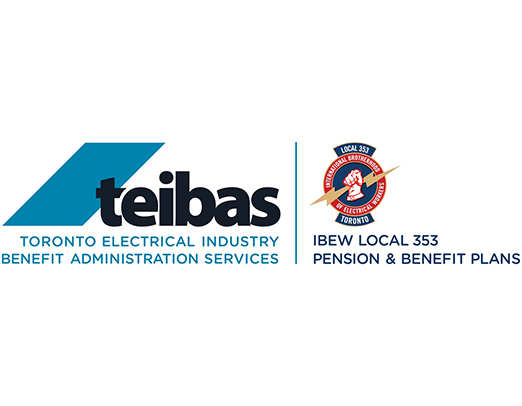 Sponsor Logo for TEIBAS